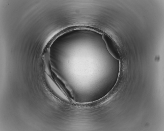 X0000089951069200707271835