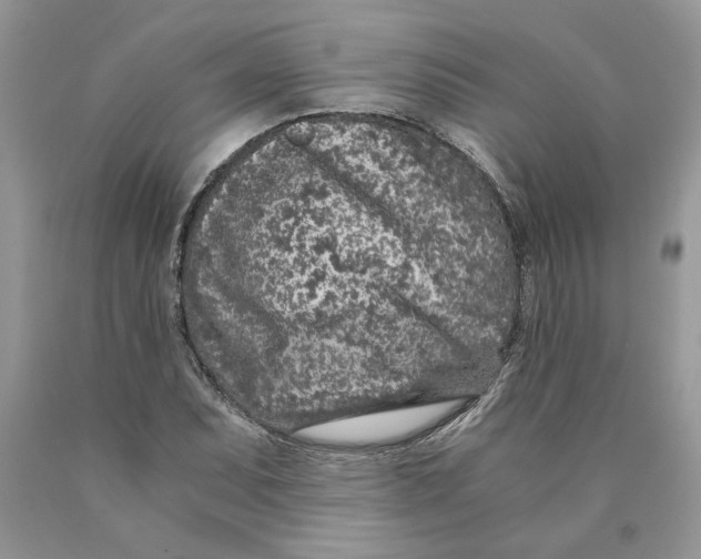 X0000089951071200707271835