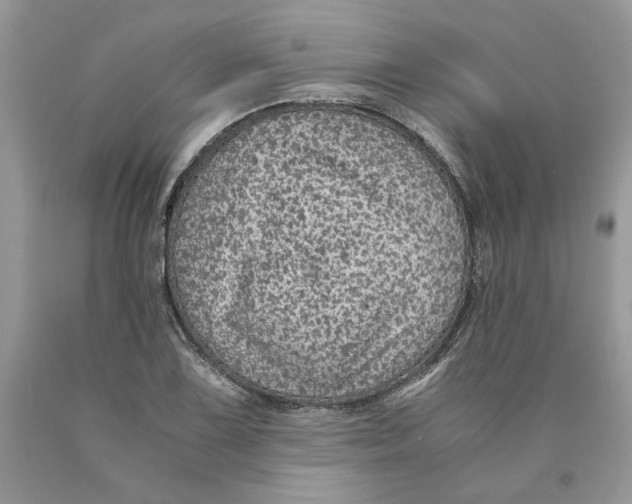 X0000089951075200707271835