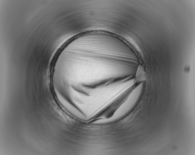 X0000089951076200707271835