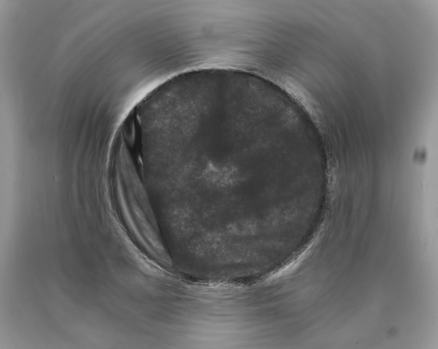 X0000089951077200707271835