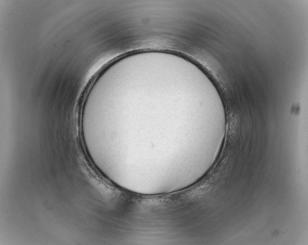 X0000089951078200707271835