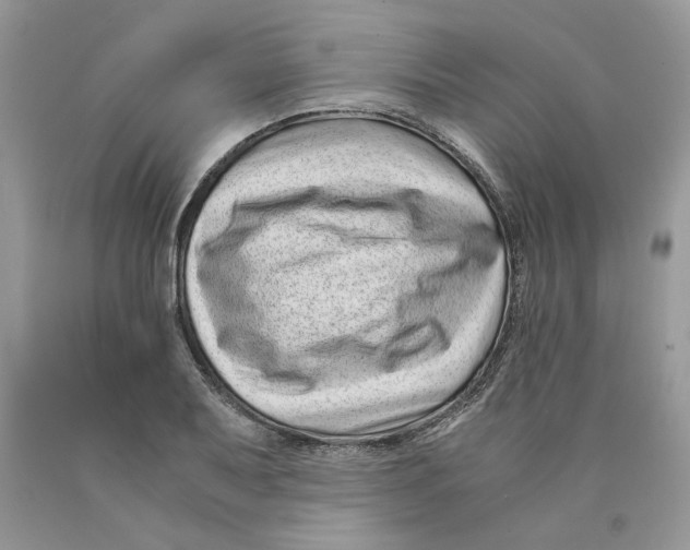 X0000089951079200707271835