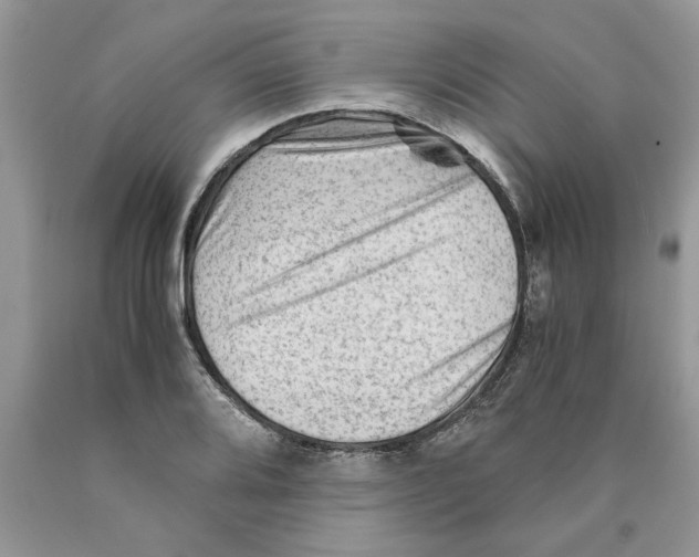 X0000089951080200707271835