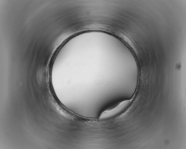 X0000089951082200707271835