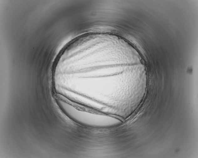 X0000089951083200707271835