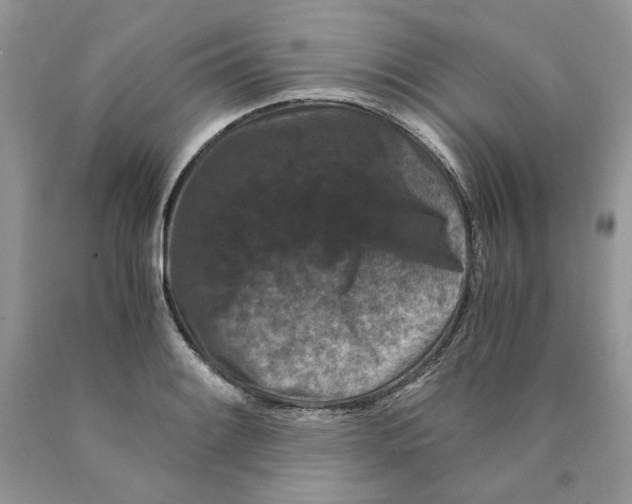 X0000089951084200707271835