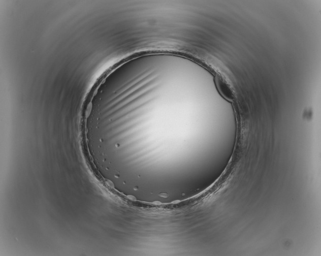 X0000089951085200707271835