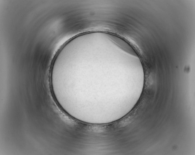 X0000089951086200707271835