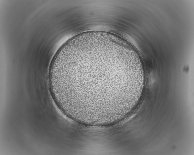 X0000089951087200707271835