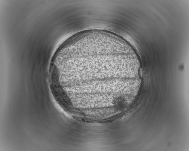 X0000089951088200707271835