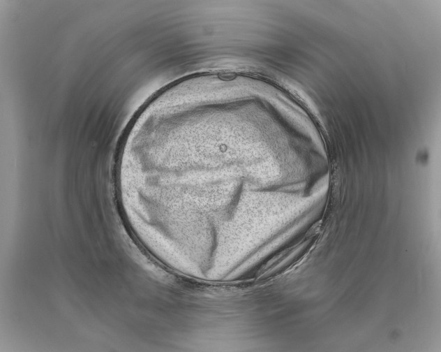 X0000089951091200707271835