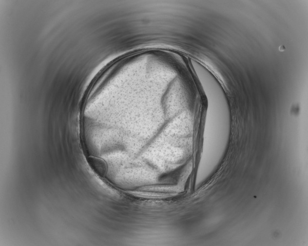 X0000089951092200707271834