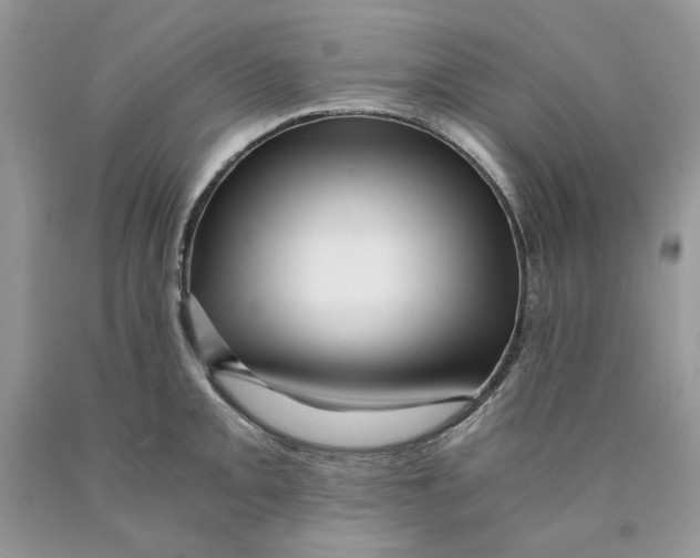 X0000089951093200707271834