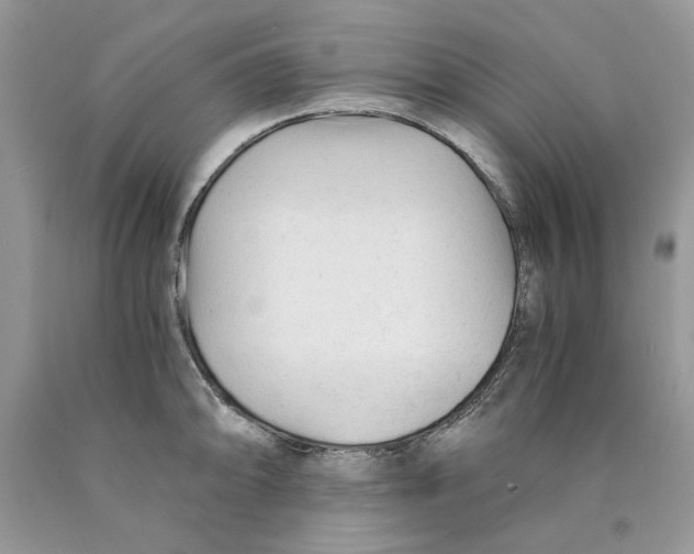 X0000089951094200707271834