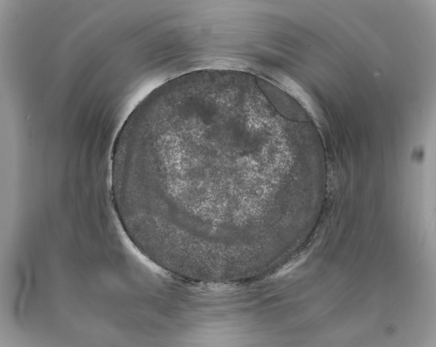 X0000089951095200707271834