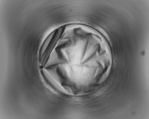 X0000089951096200707271834