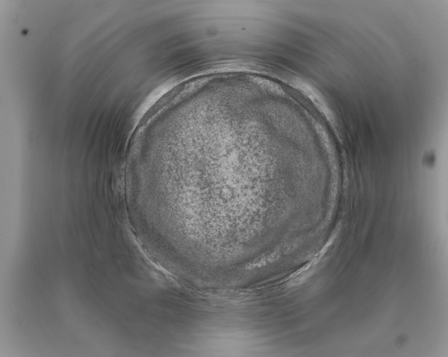 X0000089951097200707271834