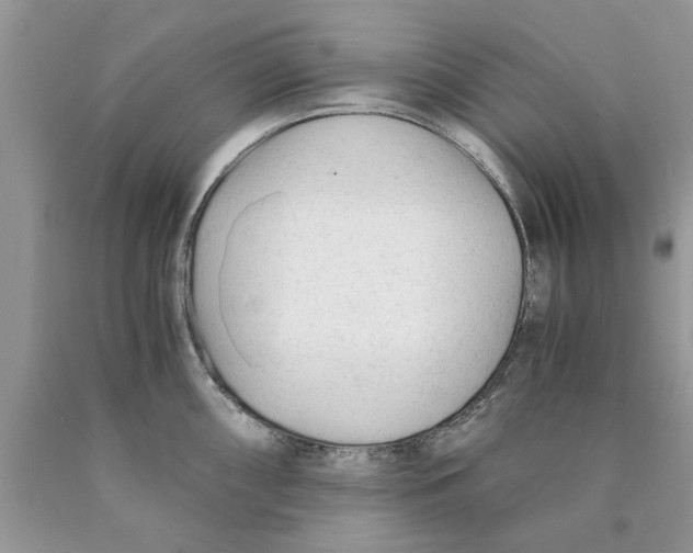 X0000089951098200707271834