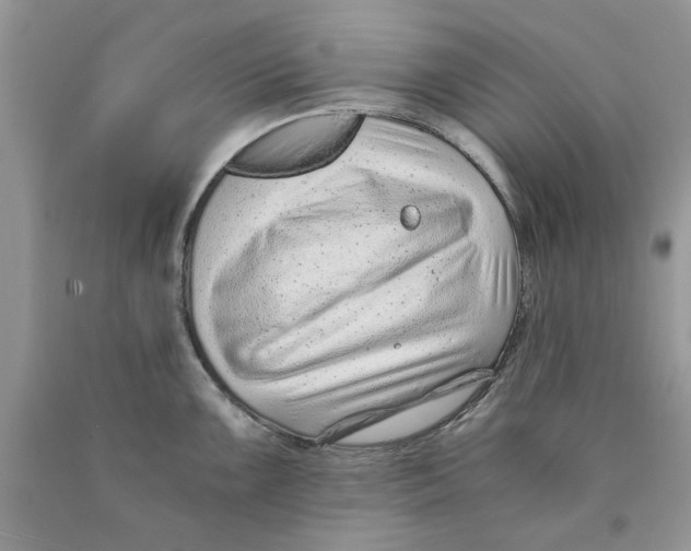 X0000089951099200707271834