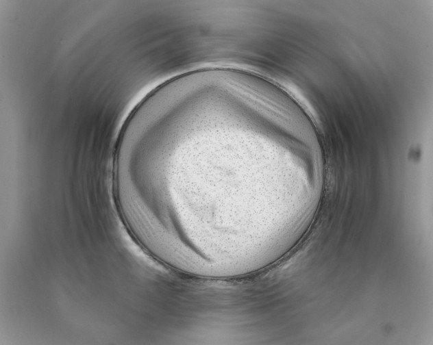 X0000089951100200707271834