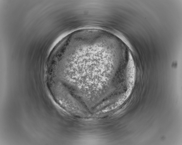 X0000089951101200707271834