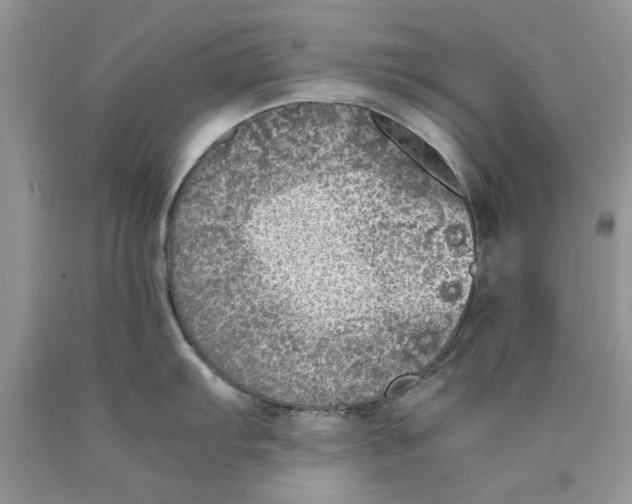 X0000089951103200707271834