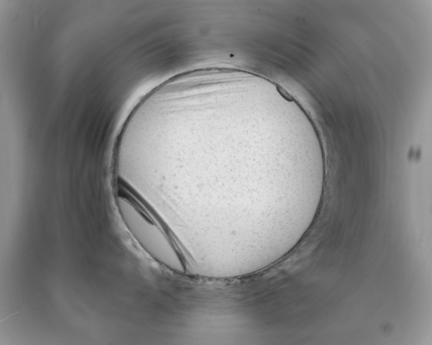 X0000089951104200707271834