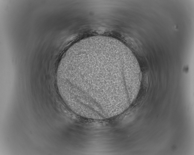 X0000089951105200707271834