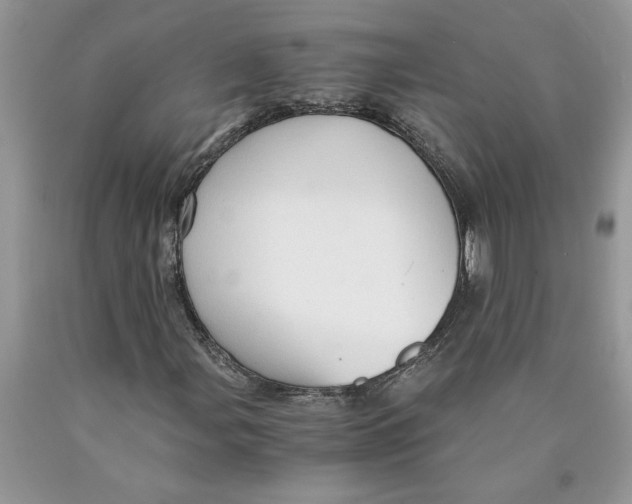 X0000089951107200707271834