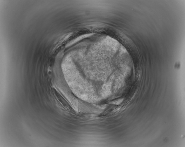 X0000089951108200707271834