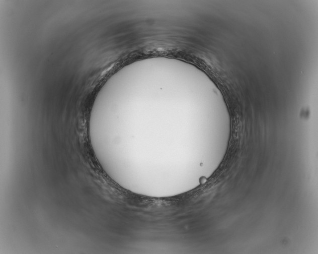 X0000089951109200707271834