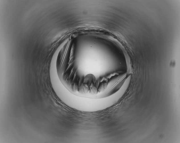 X0000089951110200707271834