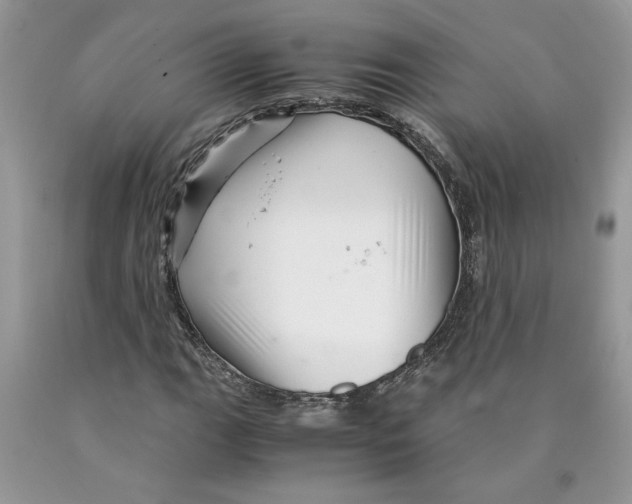 X0000089951111200707271834