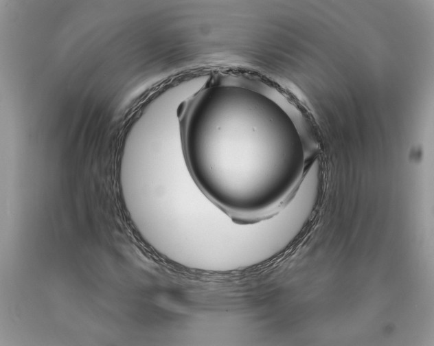 X0000089951112200707271834