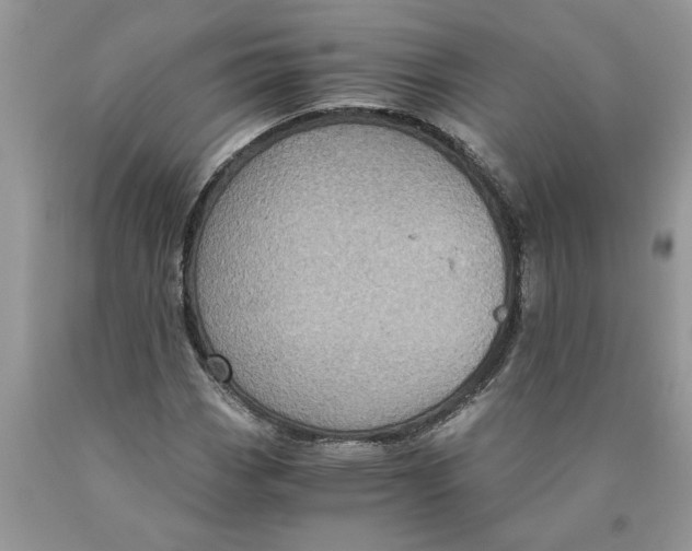 X0000089951113200707271834