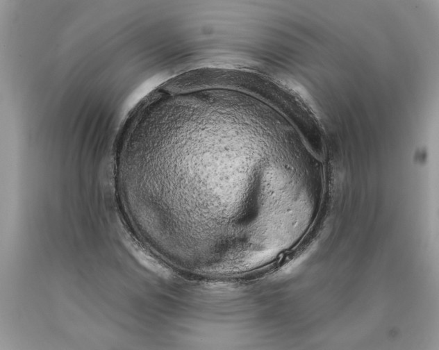 X0000089951114200707271834