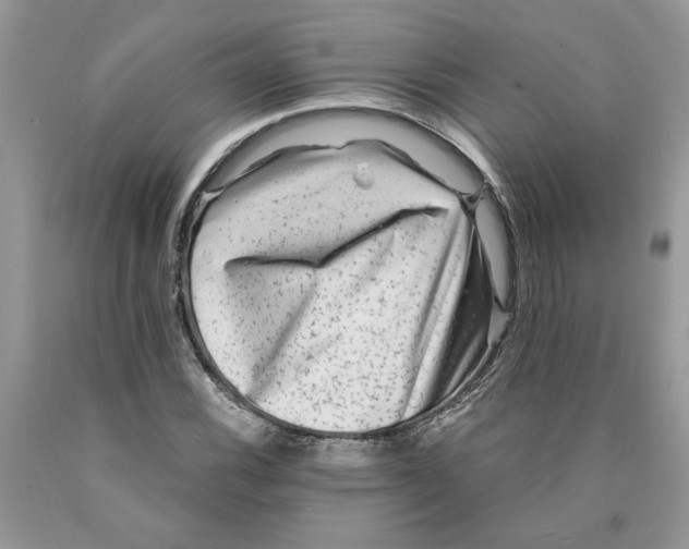 X0000089951116200707271834