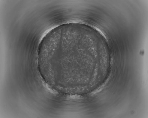 X0000089951117200707271834