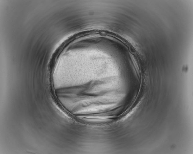 X0000089951118200707271834