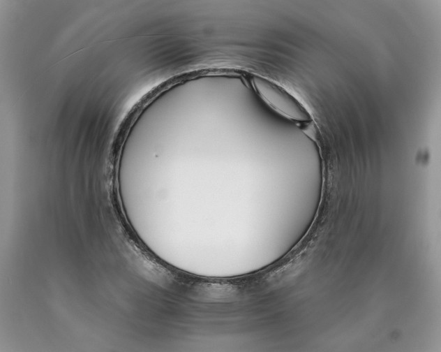 X0000089951119200707271834