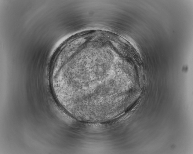 X0000089951120200707271834