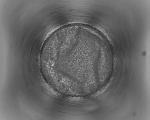 X0000089951121200707271834