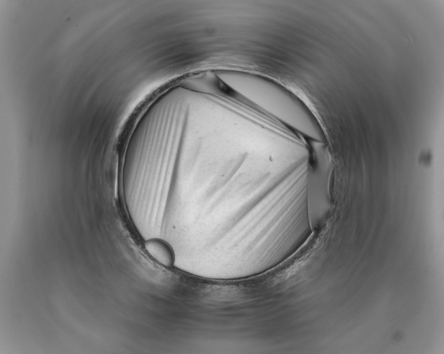 X0000089951123200707271834