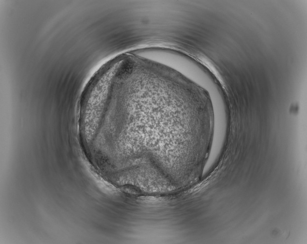 X0000089951124200707271834