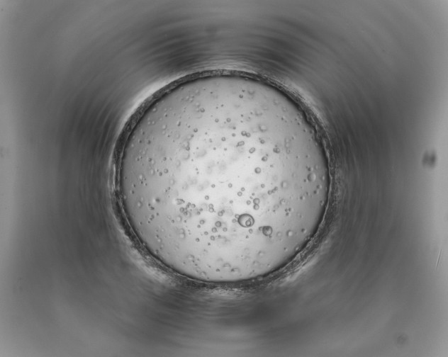 X0000089951125200707271834