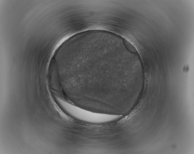 X0000089951127200707271834