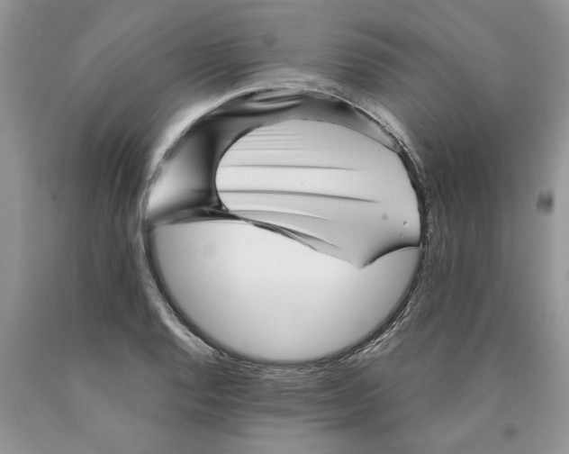 X0000089951128200707271834