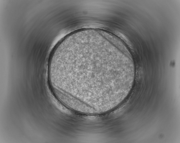 X0000089951130200707271834