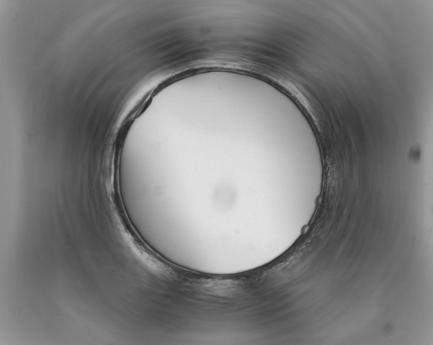 X0000089951131200707271834